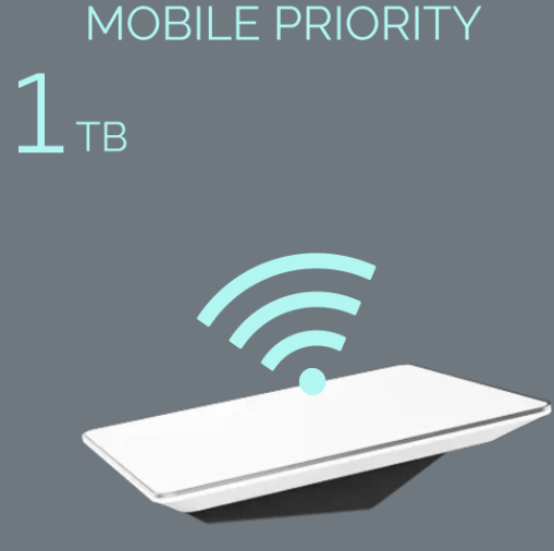 Starlink Priority 1TB - Fixed Line